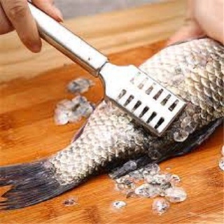 Cây đánh vẩy cá đa năng