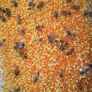 1kg phấn hoa rừng