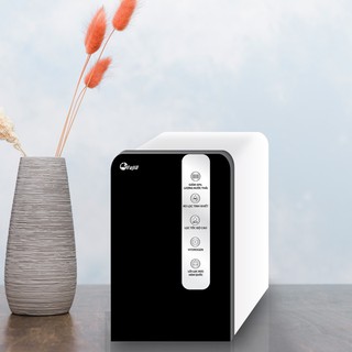 Máy lọc nước tinh khiết ro thông minh fujie ro-9000b hàng chính hãng