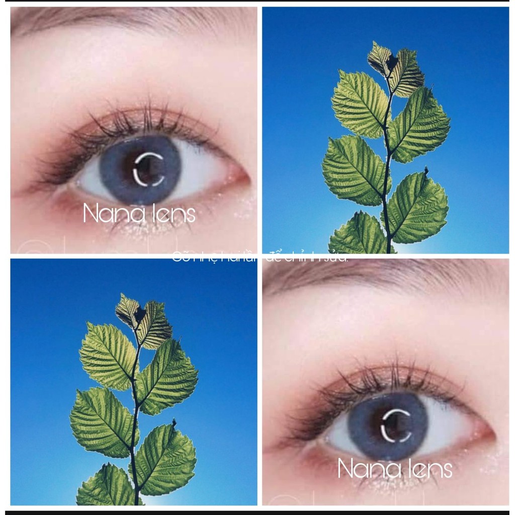 [Hót trend 2021] 5 mẫu Lens - Kính áp tròng xanh tây tự nhiên giãn vừa (Dòng lens sử dụng 12 tháng) kèm khay đơn