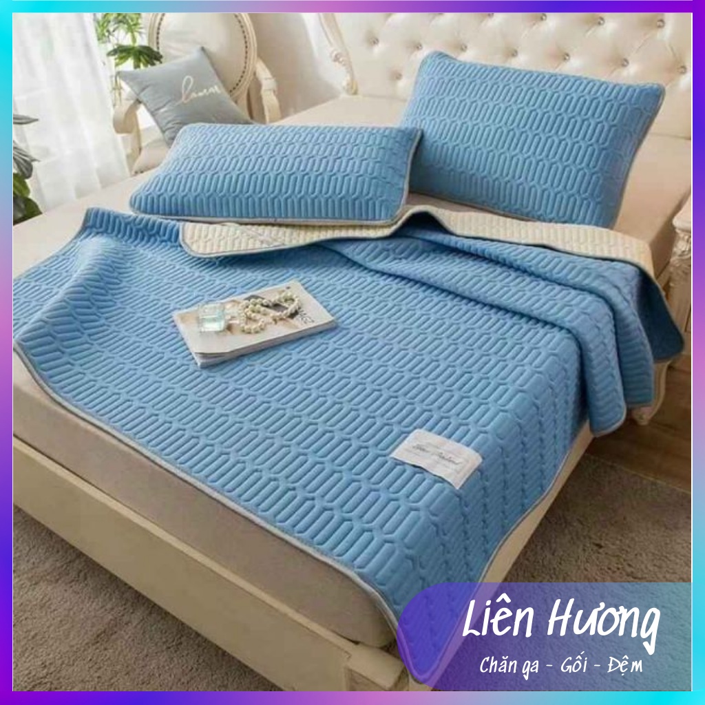 Chiếu điều hòa tencel nhập khẩu cao cấp, chiếu cao su non chất vải tencel mát lạnh thoáng khí không xù đầy đủ kích thước