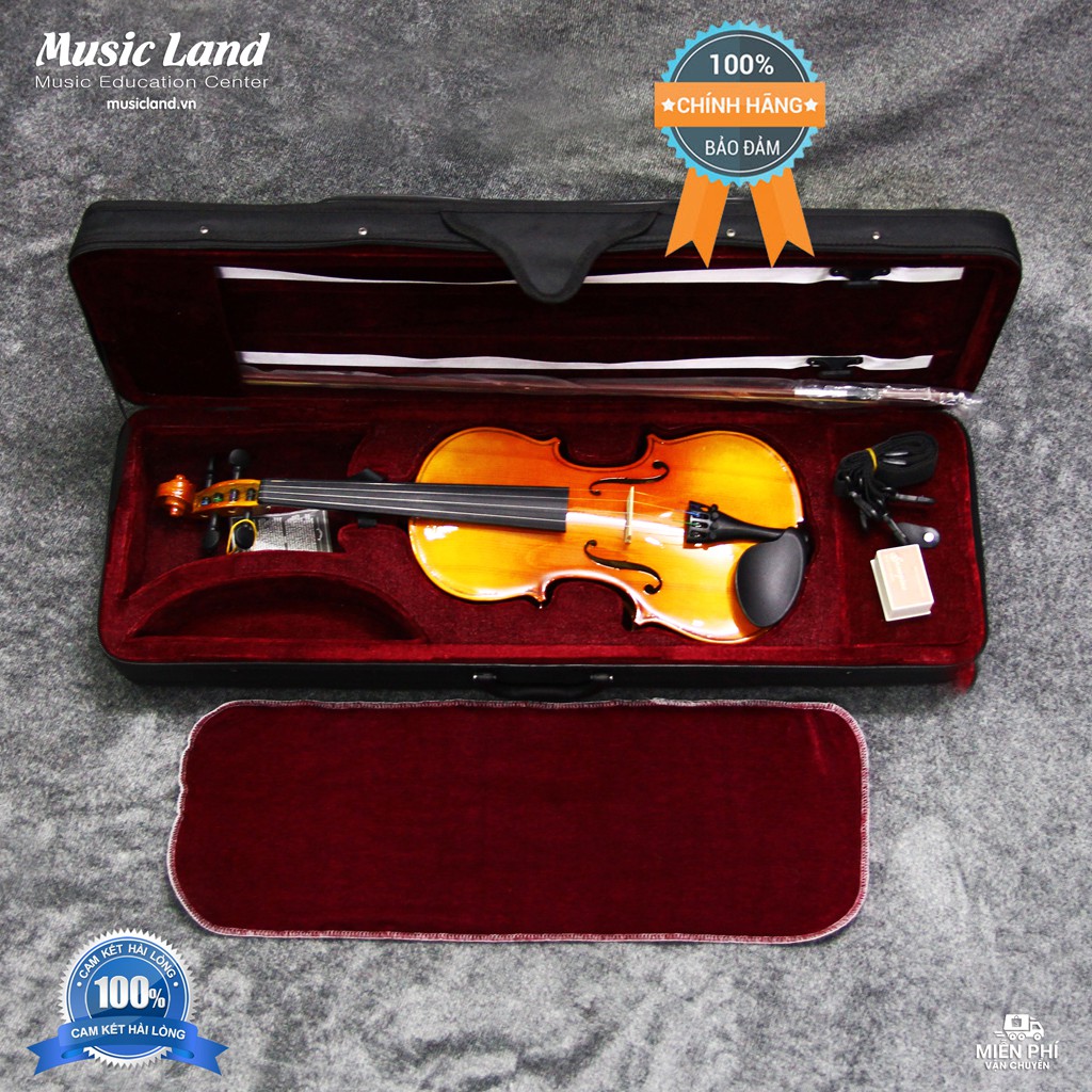 Đàn Violin dành cho Người Mới Học