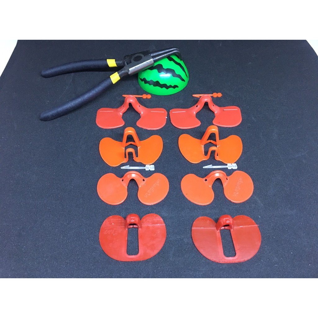 Kính Đeo Mắt Cho Gà Hàng Loại Tốt