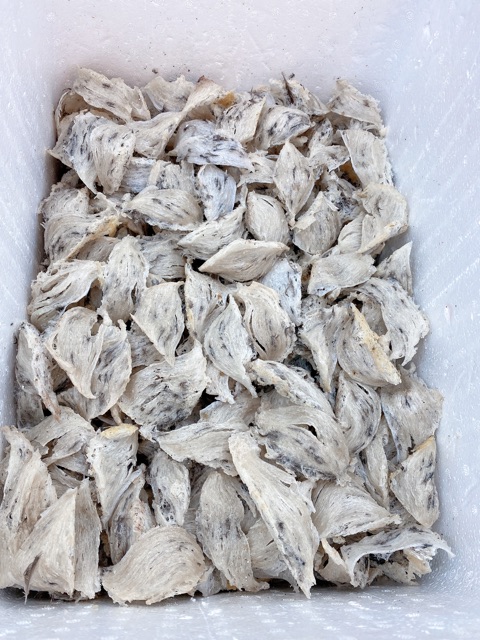 Yến tổ còn lông | BigBuy360 - bigbuy360.vn