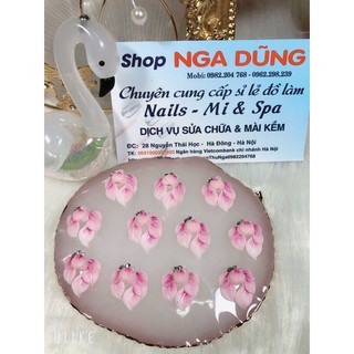 hoa góc ngắn mong