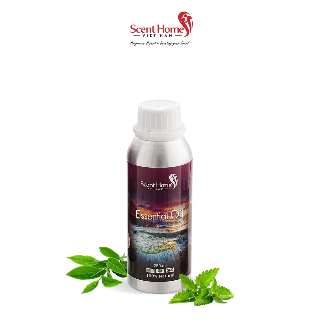 [Chính hãng] Tinh dầu nước hoa Tea &amp; Mint - Scent Homes (Tea &amp; Mint- 50ml,100ml,250ml)