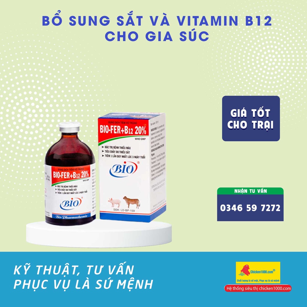 Thú Y Bio Fer + B12 20% Bổ Sung Sắt Cho Vật Nuôi Heo, Bò, Dê, Cừu Bị Thiếu Máu