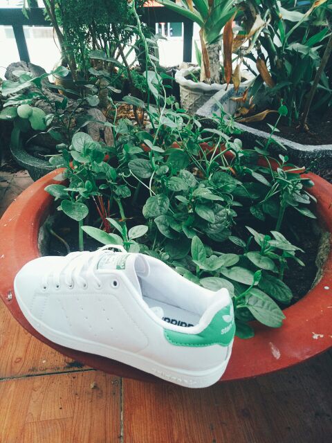 (Pass giày) Giày Stan Smith xanh size 38