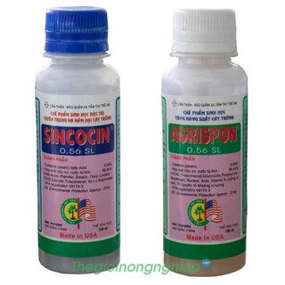 Sincocin & Agrispon - Bộ đôi chế phẩm sinh học trừ tuyến trùng và nấm bệnh, tăng trưởng cây