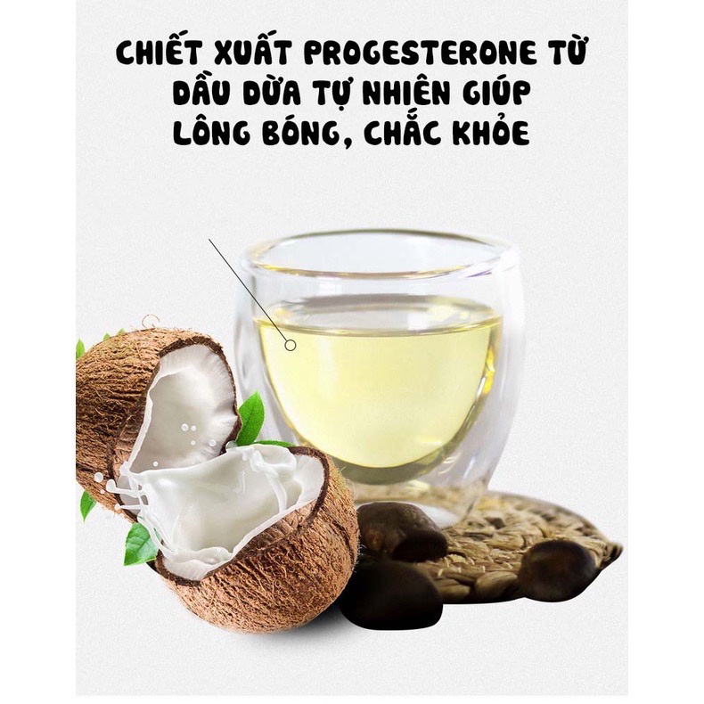SỮA TẮM CHIẾT XUẤT TỪ DẦU DỪA DÀNH CHO CHÓ MÈO 510ML - HAYUMI