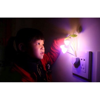 ĐÈN NGỦ CẢM ỨNG GIÁ BUÔN