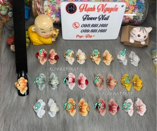 Hoa Bột -Set 2 bông Cúc Mây trang trí móng nail