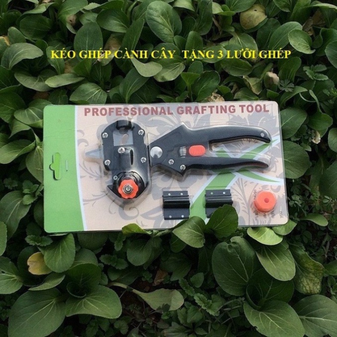 Kéo cắt ghép cây , kéo chiết cành, Kìm cắt chiết mắt ghép cây (loại 1)