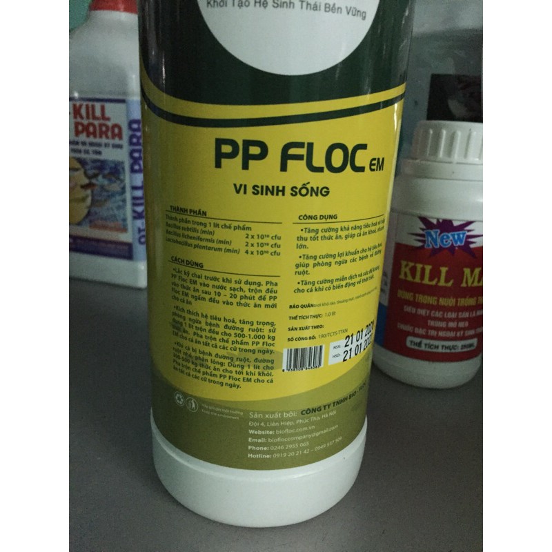 Vi sinh sống PP Floc