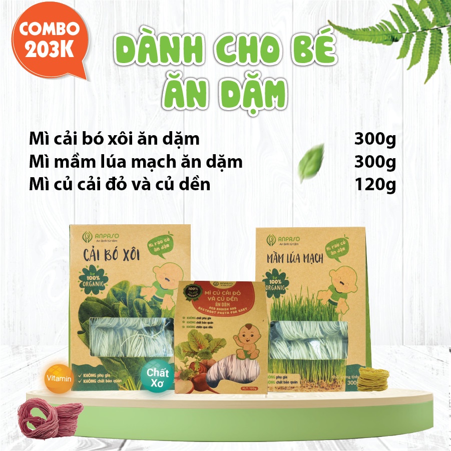 Combo Mì Ăn Dặm cho bé 3 vị rau Organic hữu cơ Anpaso dành cho bé 7 tháng tuổi bổ sung chất xơ, cải thiện táo bó | BigBuy360 - bigbuy360.vn