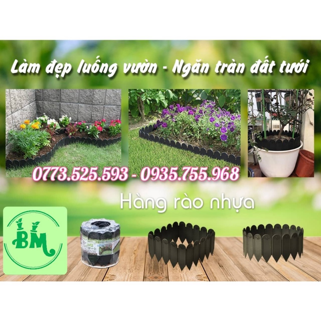 Viền vườn hàng rào - hàng rào nhựa