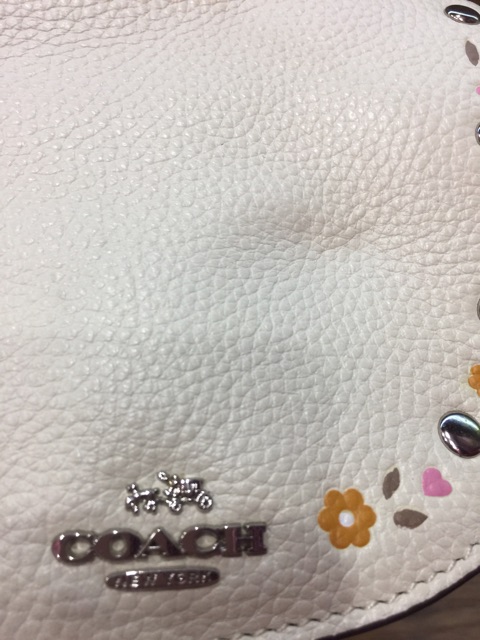 Balo si hiệu Coach mini