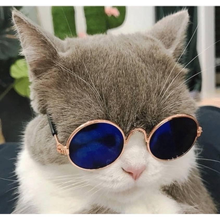 Cat Sunglasses Sunglasses Dog Teddy Personality Funny Headdress Pet Accessories Cat Glasses