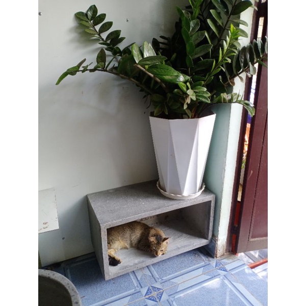 Chậu xi măng đá mài chữ nhật 60x30x30cm , chậu xi măng đá mài trồng cây