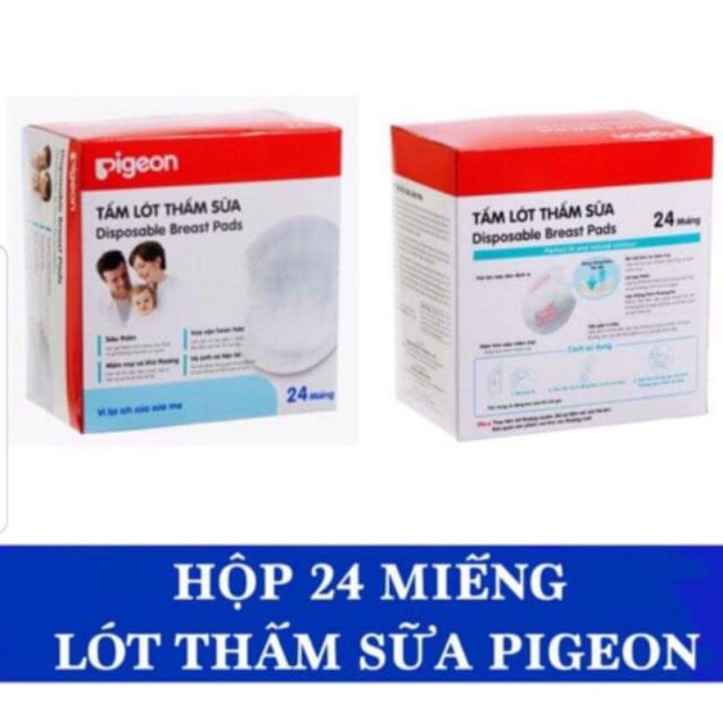 Miếng lót thấm sữa pigeon cho các mẹ