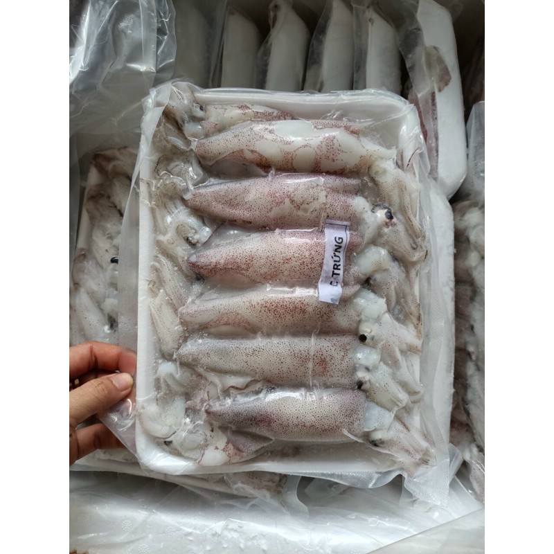1kg Mực full trứng