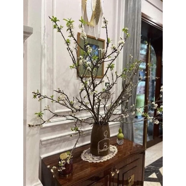 cành mận trắng cắm tết