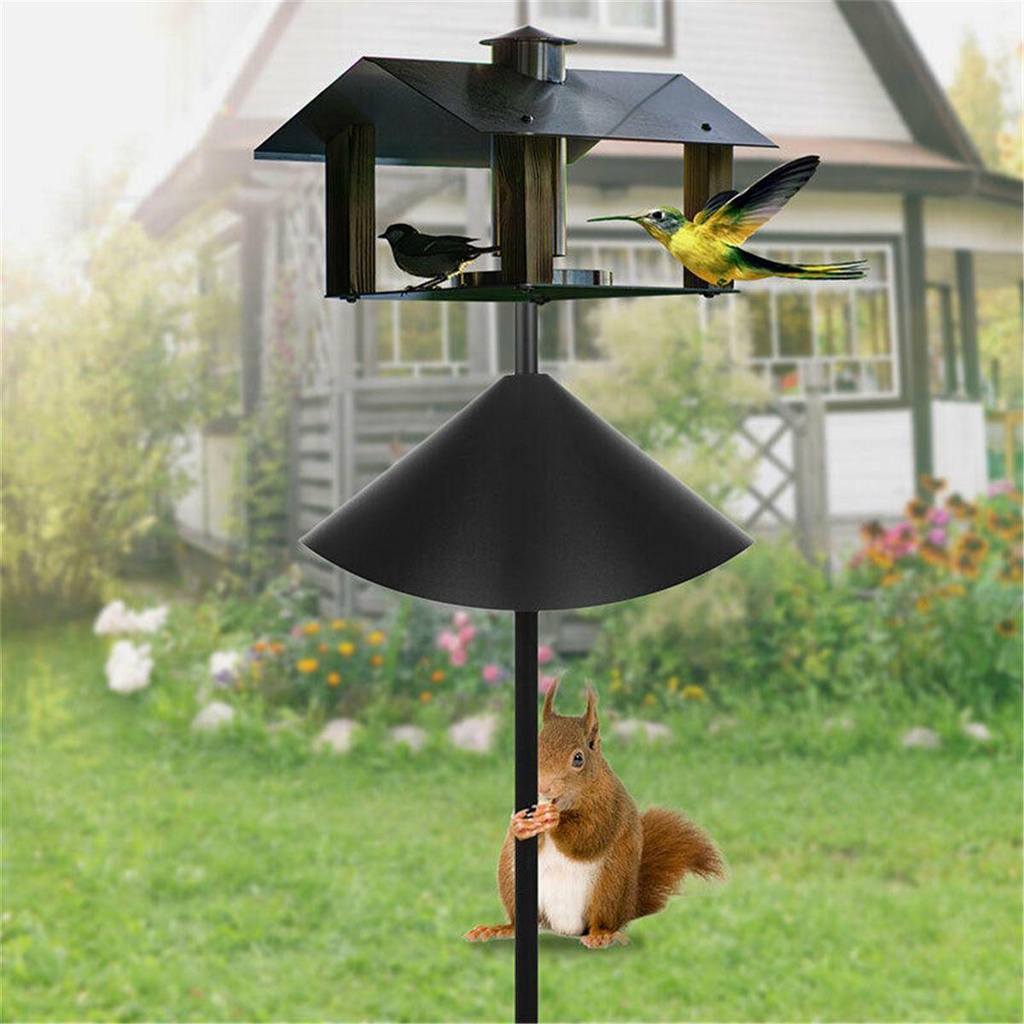 Dụng Cụ Cho Chim Ăn 16 &quot;