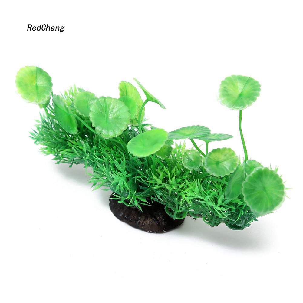 Cây cỏ nhân tạo màu sắc tươi sáng dùng để trang trí bể cá