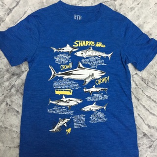 Áo Gap kid size đại cho bé trai