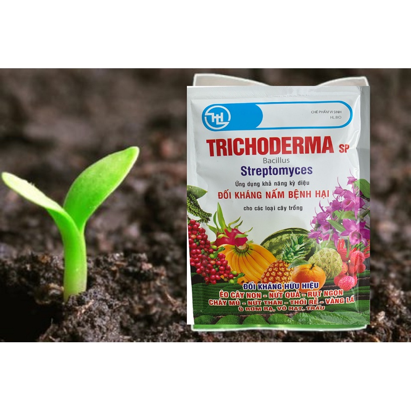Nấm Đối Kháng Trichoderma SP Bacillus - Streptomyces - 100Gr