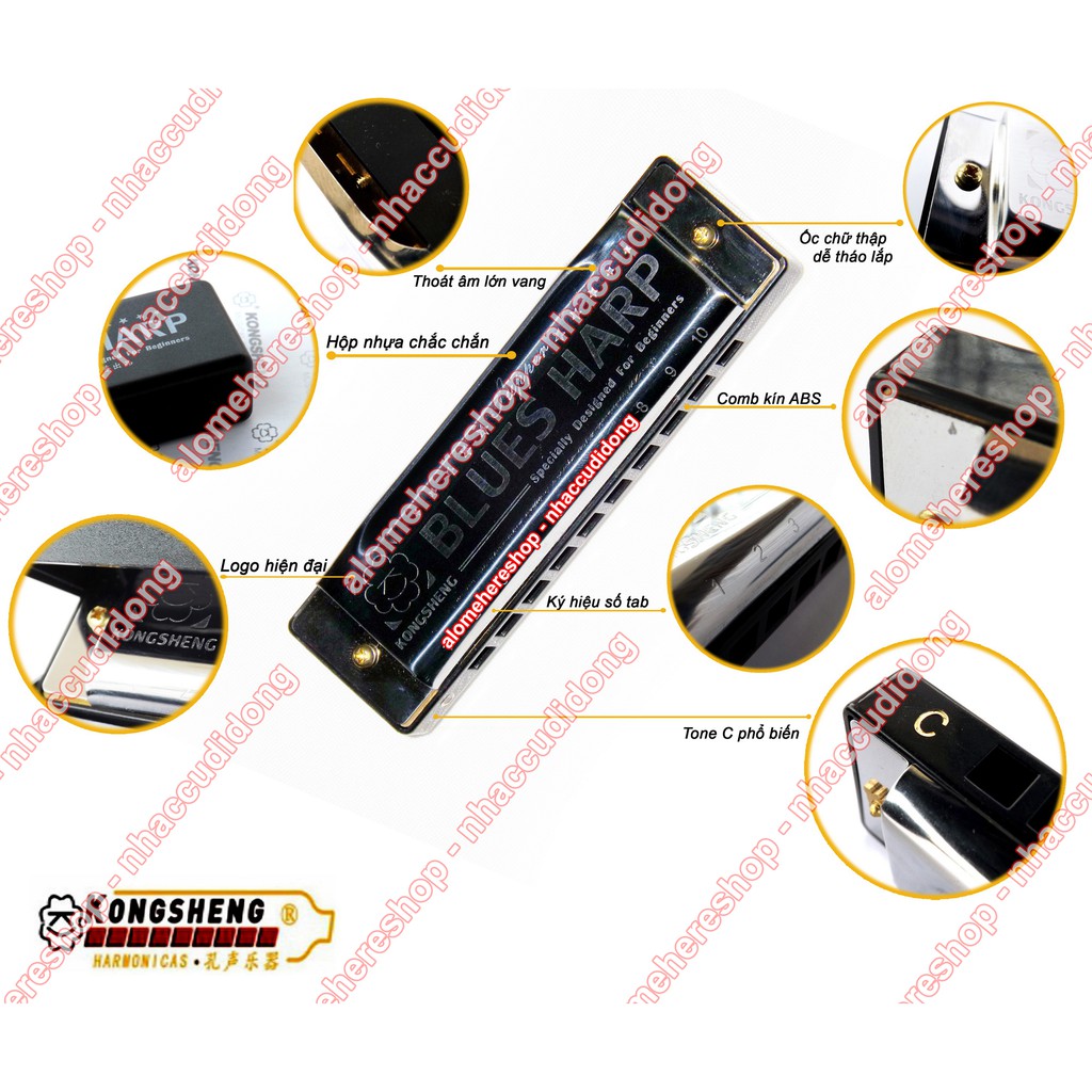 Kèn harmonica Diatonic 10 lỗ KongSheng Blues Harp key C Gold