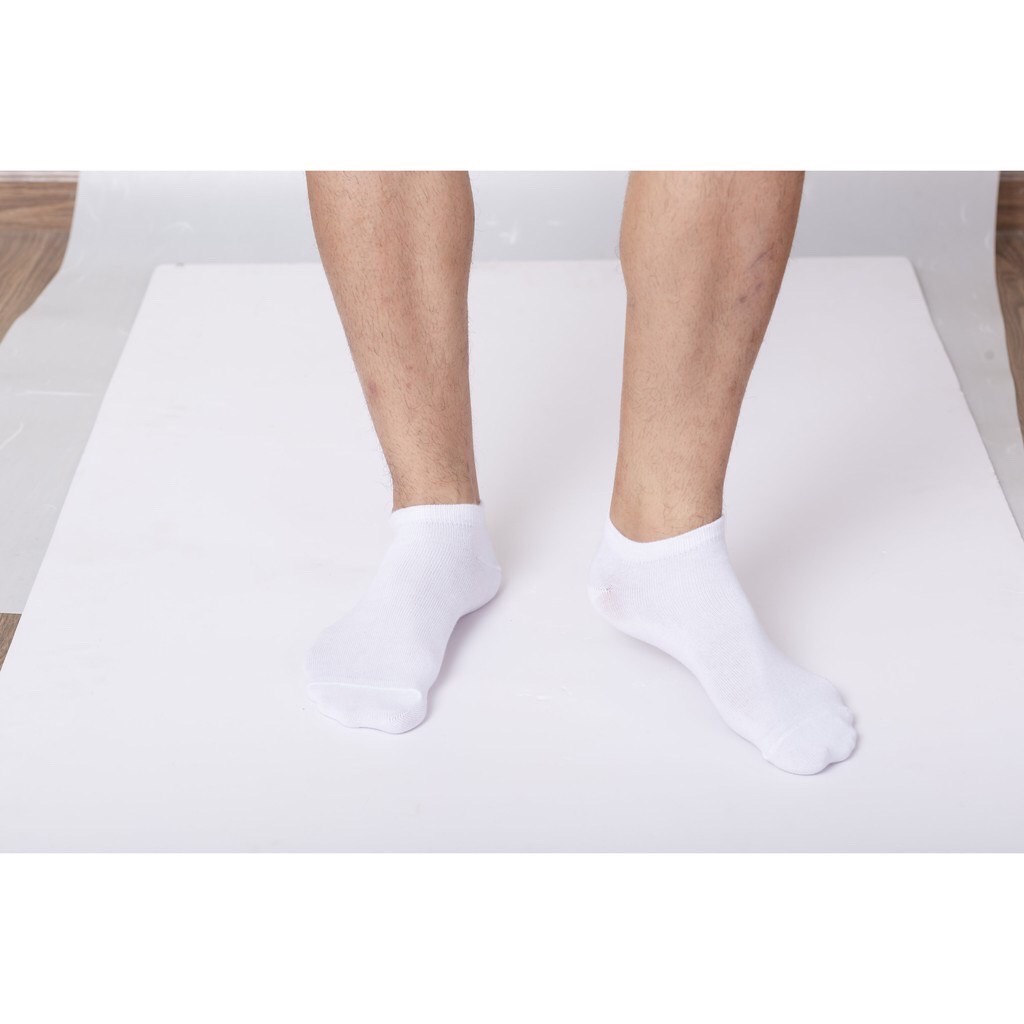 Tất ngắn 4 màu Cotton Organic kháng khuẩn khử mùi MODANFIT