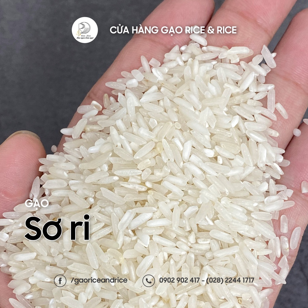 Túi 5KG Gạo Sa Ri – Sơ Ri – Sa mơ - Vị ngọt nhẹ, xốp mềm, thơm hạt - Rice&Rice