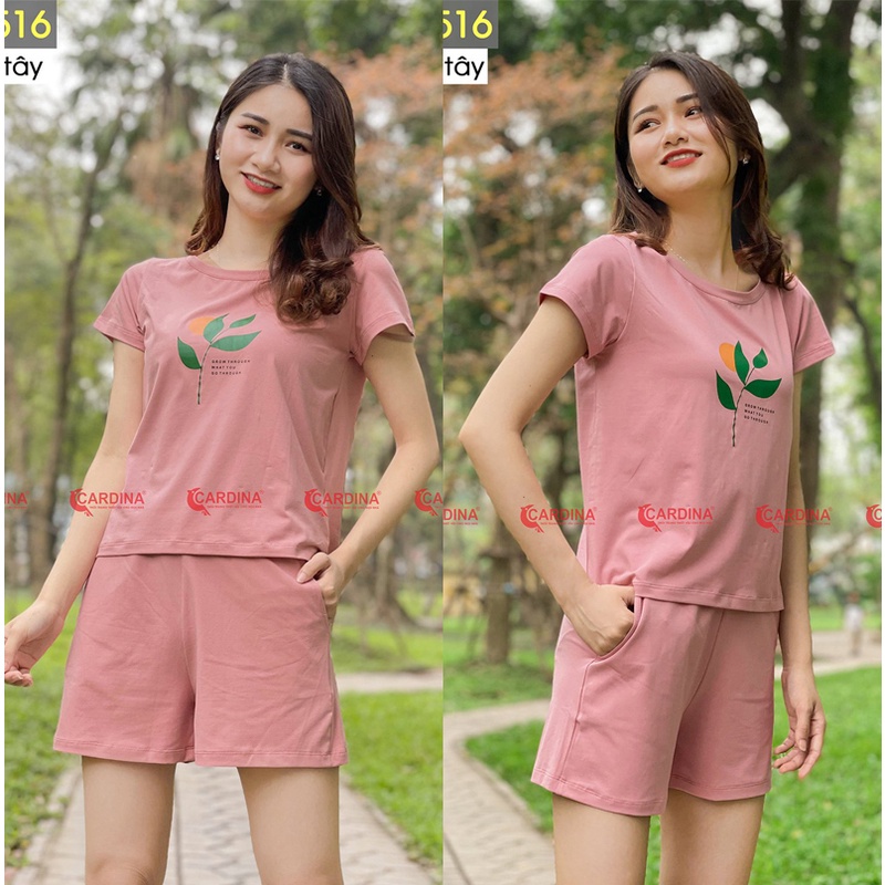 Bộ đồ nữ đùi mặc nhà CARDINA chất thun Cotton dày đẹp