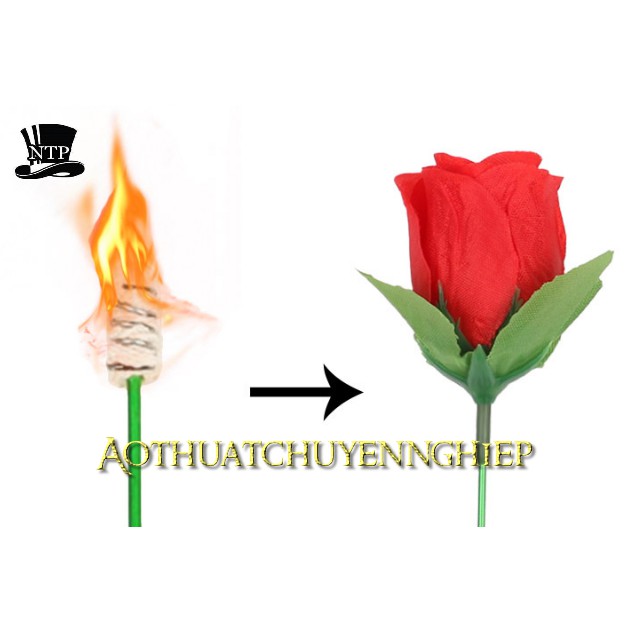 [FREE SHIP] Ảo thuật đuốc lửa thành hoa hồng - Torch to Rose