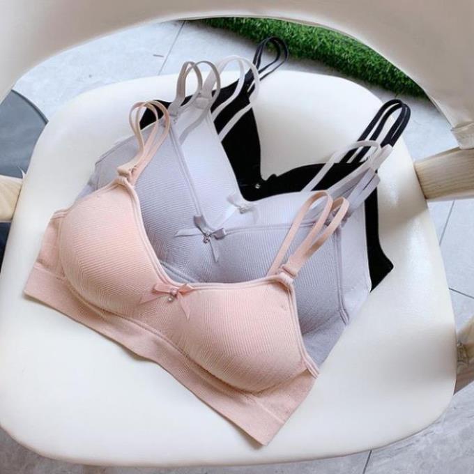 Áo lót bầu  không gọng đệm mỏng êm mềm, Áo bralette cài sau dây quai mảnh tháo được_AL62