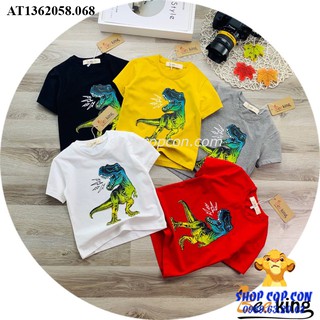 Áo thun hình khủng long cho bé trai từ 9-38kg