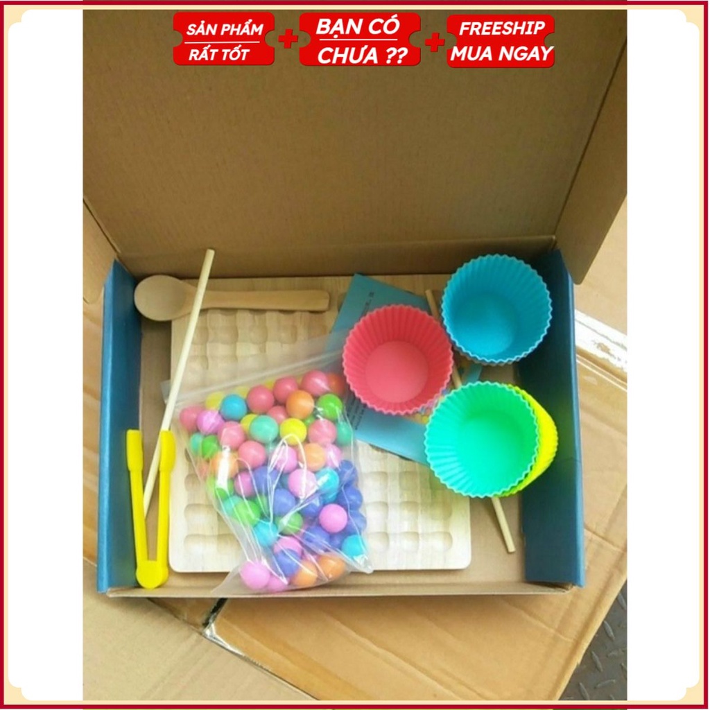 PVN33249 Gắp bi gỗ rèn vận động tinh, tư duy BẢN ĐẸP T2