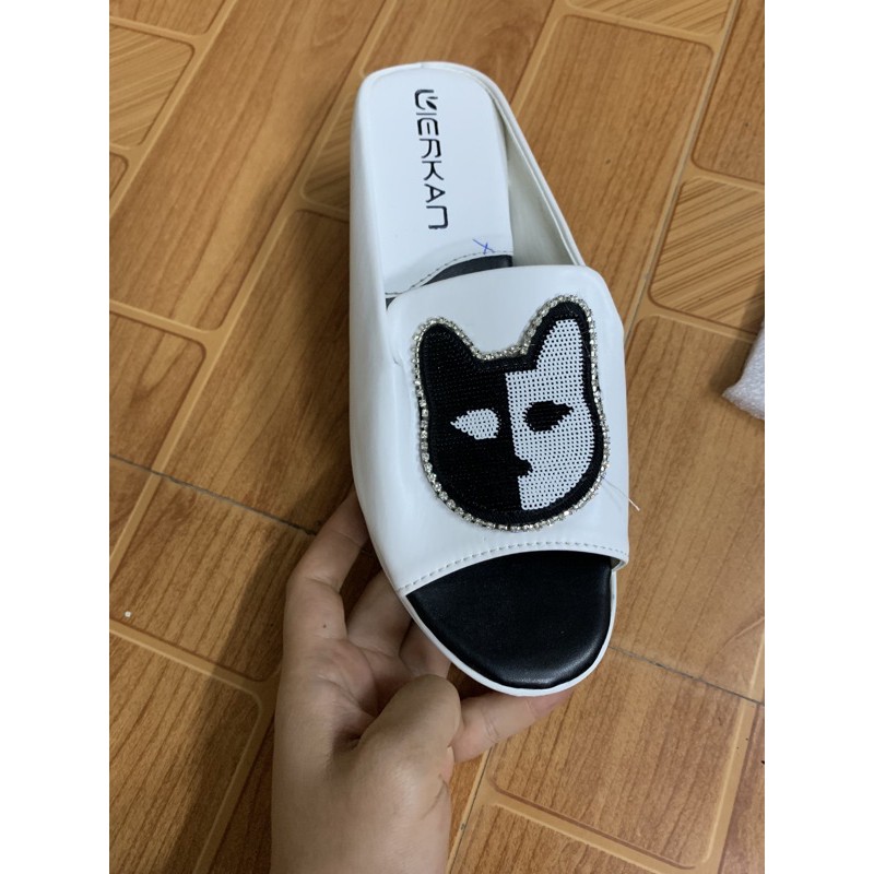 Giầy cao got