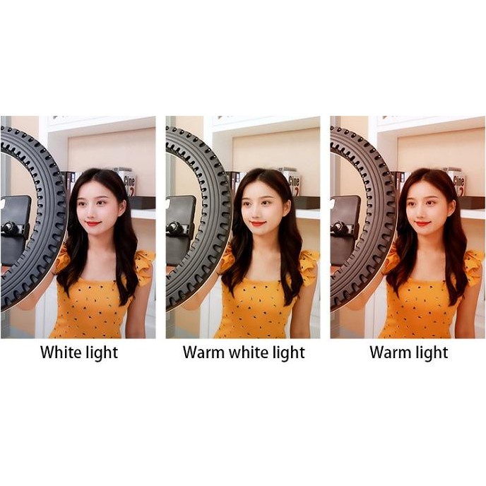 Đèn Led Ring Livestream HQ21 HL Lighitng