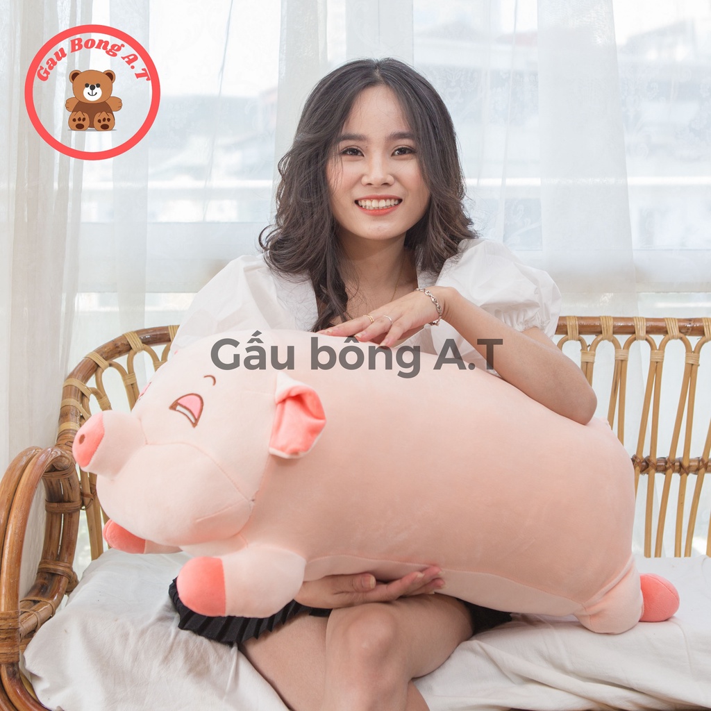 Gấu Bông Lợn NGỦ, Heo Ngủ Siêu Đáng Yêu Cute, Thú Nhồi Bông, Chất Liệu Bông Gòn Cao Cấp (size 40cm-1m2)_AT008