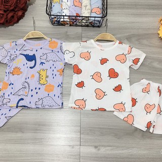 Bộ cotton giấy cho bé 7-17kg
