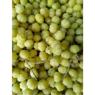 300g mứt chùm ruột chua ngọt