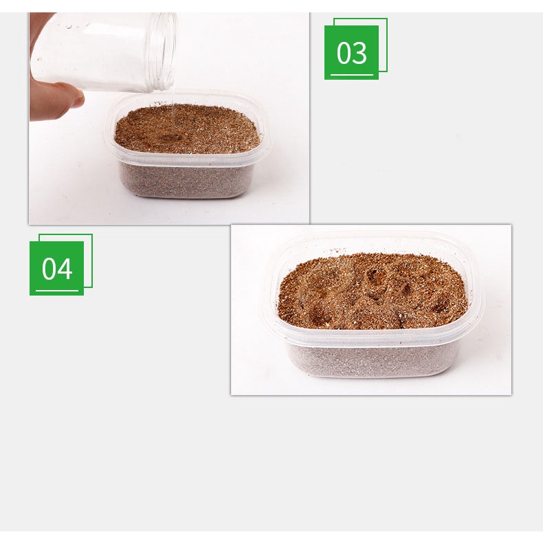 Combo Gieo Trồng Cỏ Lúa Mì Tiện Lợi Giúp Mèo Bổ Sung Chất Xơ, Tiêu Búi Lông MI0222 MIAOCAT