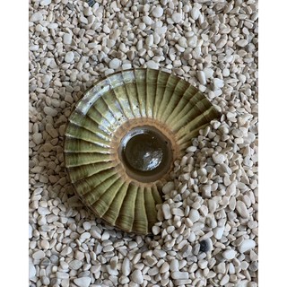 Dĩa gốm Nhật sưu tầm - 14x2,5cm