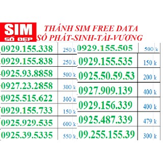 T13. thánh sim số tài phát vượng hoàn toàn miễn phí data