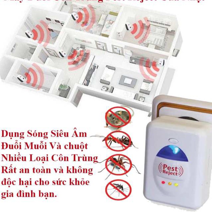 Máy đuổi côn trùng Pest Reject (loại tốt)