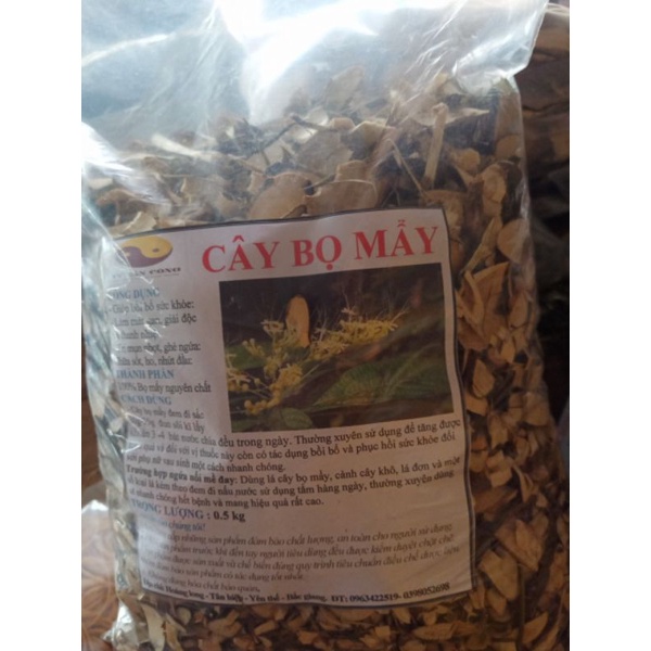 Cây bọ mẩy khô