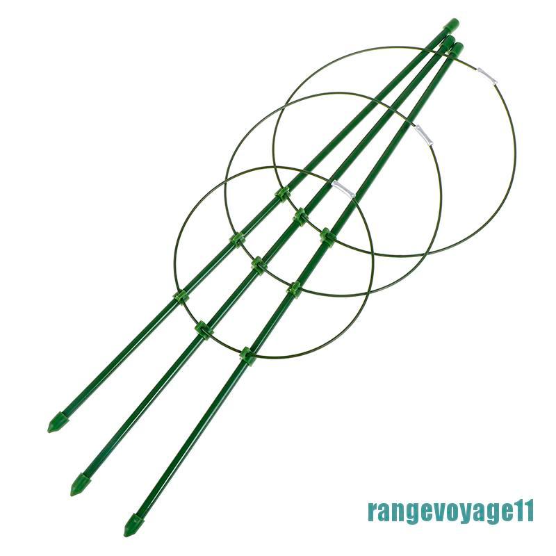 Dây Thừng Hỗ Trợ Trồng Cây Leo Siêu Bền Tiện Dụng