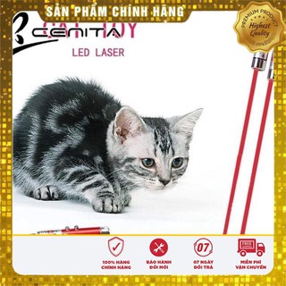ĐÈN LAZE TRÊU MÈO!!! (SẴN 3 PIN)